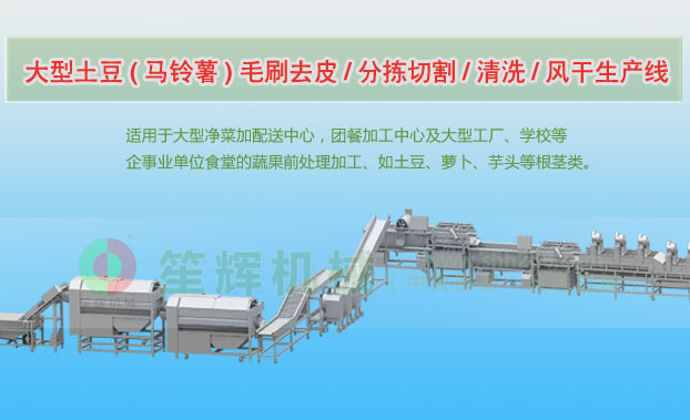 湘乡连续式土豆去皮清洗切割风干生产线